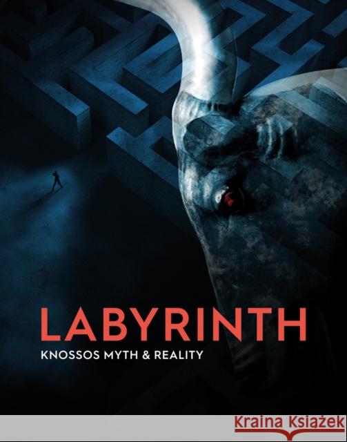 Labyrinth: Knossos Myth and Reality Andrew Shapland 9781910807552 Ashmolean Museum - książka