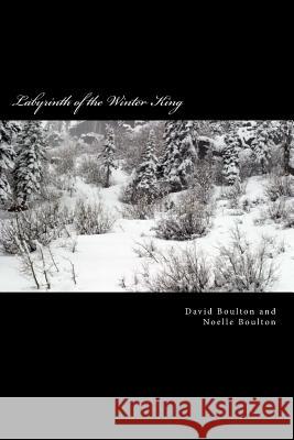 Labyrinth of the Winter King: An Epic Saga MR David Boulton Mrs Noelle Boulton 9781500782788 Createspace - książka