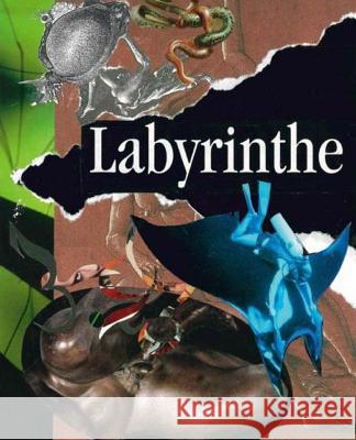 Labyrinthe: Poesie im 21. Jahrhundert Reichhold, Werner 9780944676929 AHA Books - książka