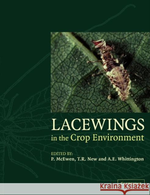 Lacewings in the Crop Environment P. K. McEwen T. R. New A. E. Whittington 9780521037297 Cambridge University Press - książka