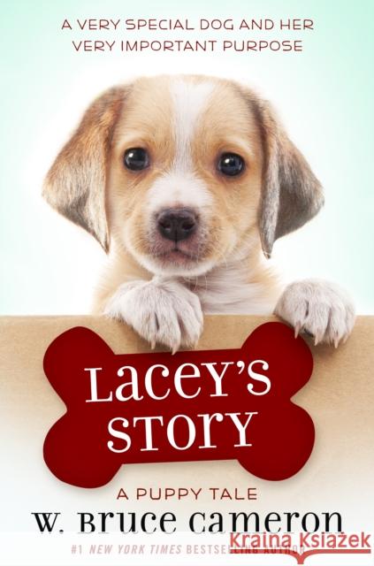 Lacey's Story: A Puppy Tale W. Bruce Cameron 9781250163400 Starscape Books - książka