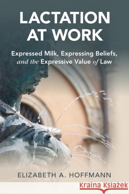 Lactation at Work: Expressed Milk, Expressing Beliefs, and the Expressive Value of Law Elizabeth A. (Purdue University, Indiana) Hoffmann 9781108726498 Cambridge University Press - książka