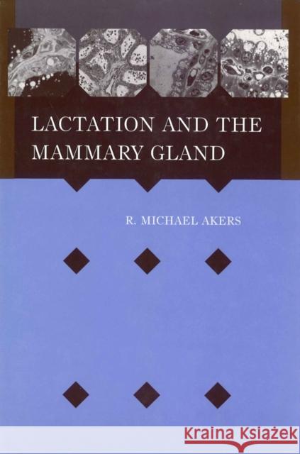 Lactation Mammary Gland Akers, R. Michael 9780813829920 Iowa State Press - książka