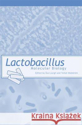 Lactobacillus Molecular Biology: From Genomics to Probiotics Asa Ljungh Torkel Wadstrom 9781904455417 Caister Academic Press - książka