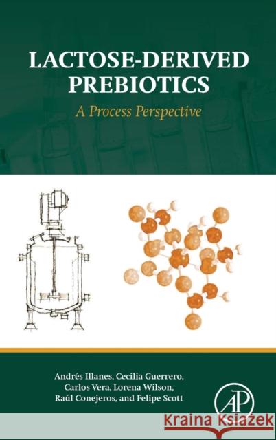 Lactose-Derived Prebiotics: A Process Perspective Andrs Illanes 9780128027240 ACADEMIC PRESS - książka