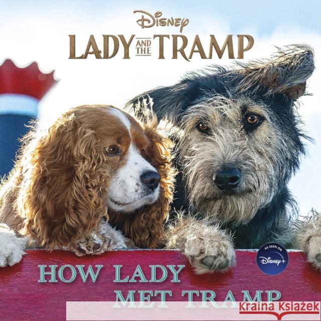 Lady and the Tramp: How Lady Met Tramp Elle Stephens 9781368059251 Disney Press - książka