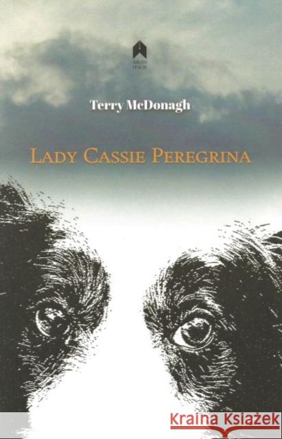 Lady Cassie Peregrina Terry McDonagh 9781851321605 Arlen House - książka