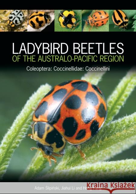 Ladybird Beetles of the Australo-Pacific Region: Coleoptera: Coccinellidae: Coccinellini Adam Slipinski Jiahui Li Hong Pang 9781472978660 Bloomsbury Wildlife - książka