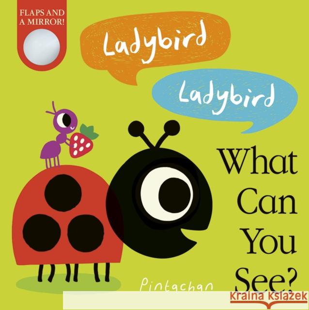 Ladybird! Ladybird! What Can You See? Amelia Hepworth 9781788818353 Little Tiger Press Group - książka