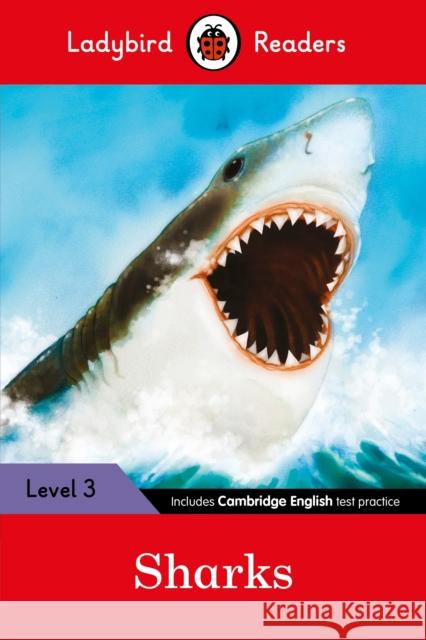 Ladybird Readers Level 3 - Sharks (ELT Graded Reader) Ladybird 9780241253823 Penguin Random House Children's UK - książka