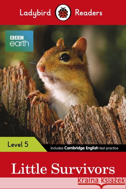 Ladybird Readers Level 5 - BBC Earth - Little Survivors (ELT Graded Reader) Ladybird 9780241336144 Penguin UK - książka