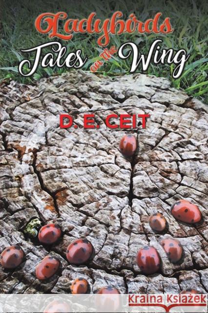 Ladybirds - Tales on the Wing D. E. Ceit 9781528993289 Austin Macauley Publishers - książka