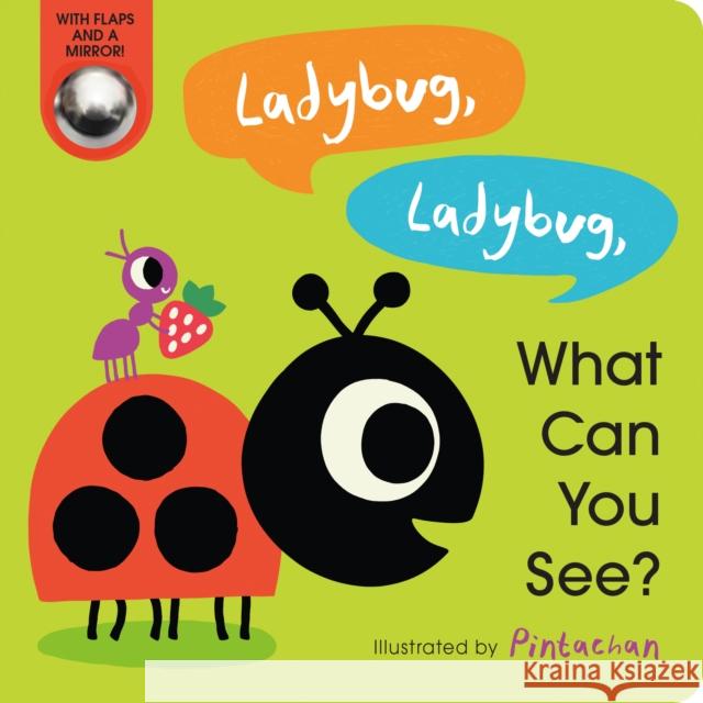 Ladybug, Ladybug, What Can You See? Amelia Hepworth, Pintachan 9780593427248 Random House USA Inc - książka