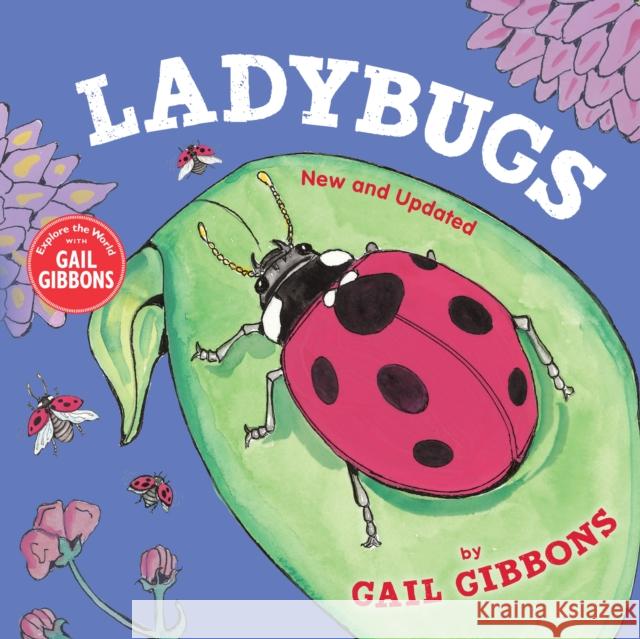 Ladybugs (New and Updated) Gail Gibbons 9780823450893 Holiday House - książka