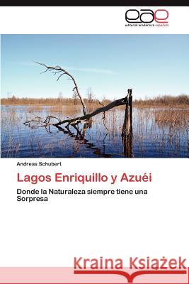 Lagos Enriquillo y Azuei Andreas Schubert 9783847369158 Editorial Acad Mica Espa Ola - książka