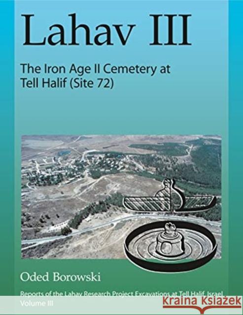 Lahav III: The Iron Age II Cemetery at Tell Halif (Site 72) Oded Borowski 9781575062846 Eisenbrauns - książka