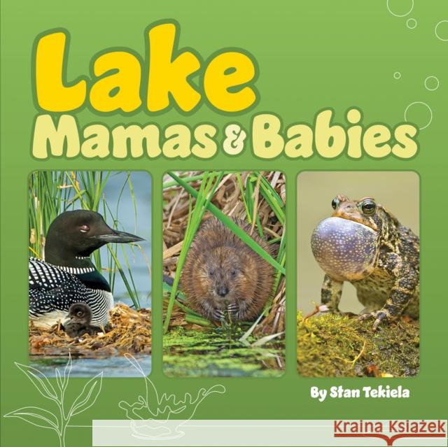 Lake Mamas and Babies Stan Tekiela 9781647553616 Adventure Publications, Incorporated - książka