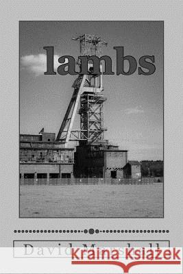 Lambs Mr David Marshall 9781515343035 Createspace Independent Publishing Platform - książka