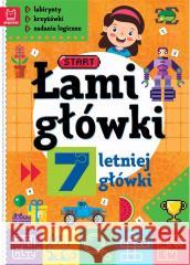 Łamigłówki 7-letniej główki. Labirynty.. w.2 praca zbiorowa 9788382139280 Aksjomat - książka