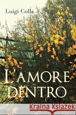 L'amore dentro Luigi Colla 9788831612494 Youcanprint - książka