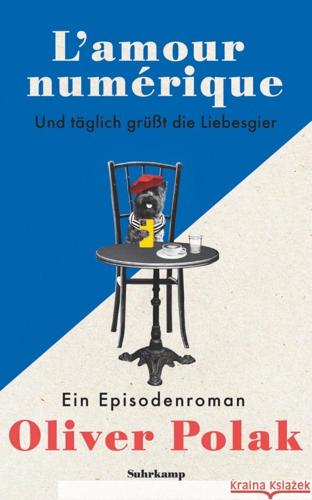 L'amour numérique Polak, Oliver 9783518472781 Suhrkamp - książka