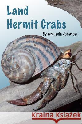 Land Hermit Crabs Amanda Johnson 9781304654922 Lulu.com - książka