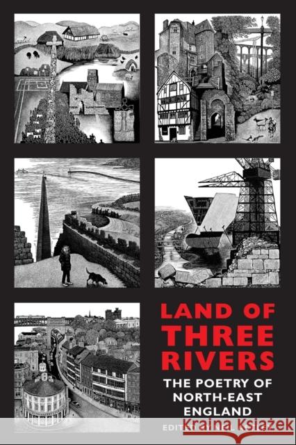 Land of Three Rivers: The Poetry of North-East England Neil Astley 9781780373768 Bloodaxe Books - książka