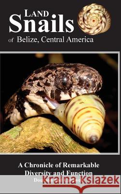 Land Snails of Belize, Central America: A Remarkable Chronicle of Diversity and Function Daniel C. Dourson Ronald S. Caldwell Judy a. Dourson 9780999802304 Goatslug Publications - książka