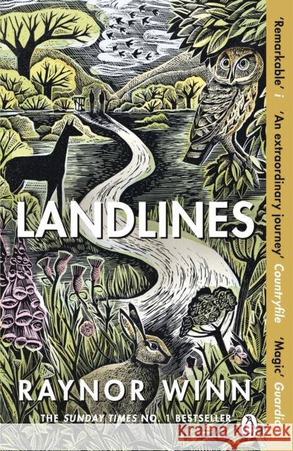Landlines: The No 1 Sunday Times bestseller about a thousand-mile journey across Britain from the author of The Salt Path Raynor Winn 9781405947787 Penguin Books Ltd - książka