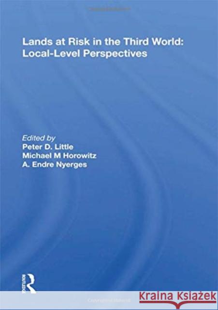 Lands at Risk in the Third World: Local-Level Perspectives: Local-Level Perspectives Little, Peter D. 9780367162078 Routledge - książka