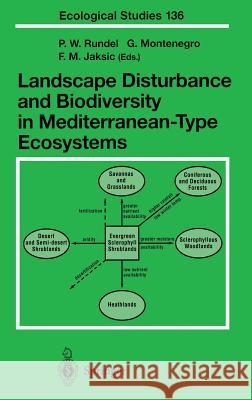 Landscape Disturbance and Biodiversity in Mediterranean-Type Ecosystems P. W. Rundel Gloria Montenegro Fabian M. Jaksic 9783540644750 Springer - książka