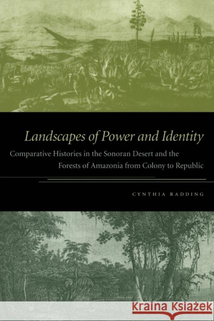 Landscapes of Power and Identity: Comparative Histories in the Sonoran Desert and the Forests of Amazonia from Colony to Republic Radding, Cynthia 9780822336891 Duke University Press - książka