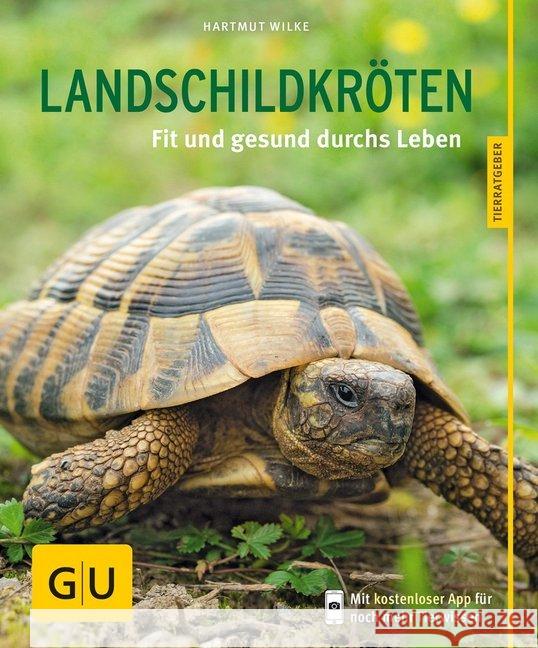 Landschildkröten : Fit und gesund durchs Leben Wilke, Hartmut 9783833841484 Gräfe & Unzer - książka