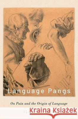 Language Pangs: On Pain and the Origin of Language Ilit Ferber 9780190053864 Oxford University Press, USA - książka