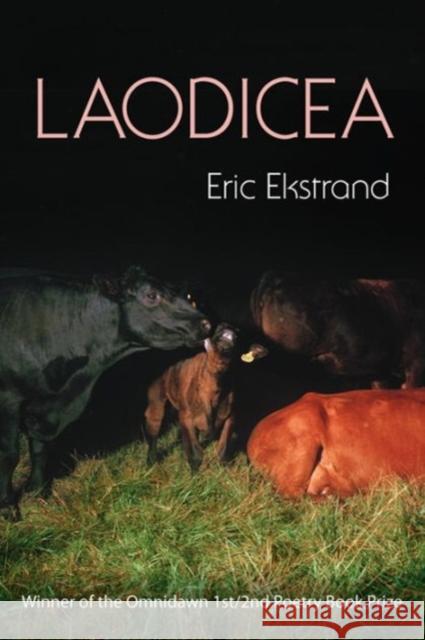 Laodicea Eric Ekstrand 9781632430038 Omnidawn - książka