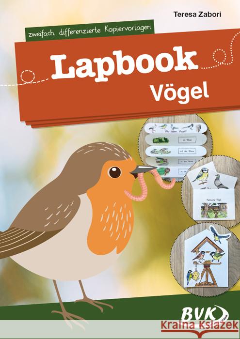 Lapbook Vögel Zabori, Teresa 9783965202184 BVK Buch Verlag Kempen - książka