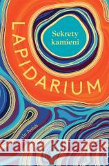 Lapidarium. Sekrety kamieni Hettie Judah, Andrzej Wojtasik 9788383870588 Buchmann - książka