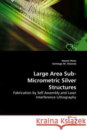 Large Area Sub-Micrometric Silver Structures : Fabrication by Self Assembly and Laser Interference Lithography Pérez, Noemí; Olaizola, Santiago M. 9783639263497 VDM Verlag Dr. Müller - książka