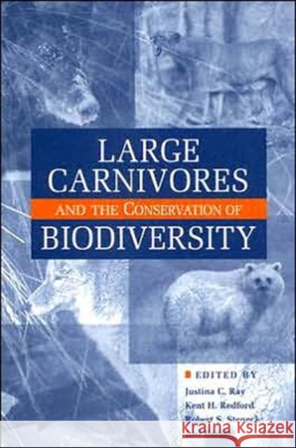 Large Carnivores and the Conservation of Biodiversity Justina C. Ray Kent H. Redford Robert Steneck 9781559630801 Island Press - książka