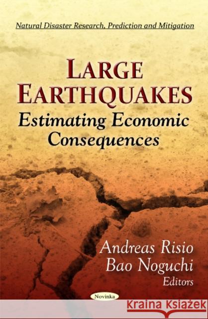 Large Earthquakes: Estimating Economic Consequences Andreas Risio, Bao Noguchi 9781621001737 Nova Science Publishers Inc - książka