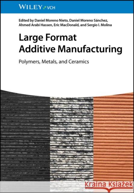 Large Format Additive Manufacturing DM Nieto 9783527352968 Wiley-VCH Verlag GmbH - książka