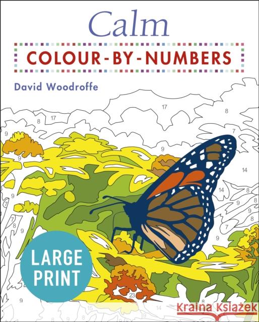 Large Print Calm Colour-by-Numbers David Woodroffe 9781838574178 Arcturus Publishing Ltd - książka