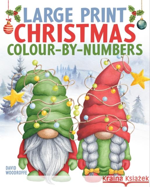 Large Print Christmas Colour-by-Numbers David Woodroffe 9781398851566 Arcturus Publishing Ltd - książka