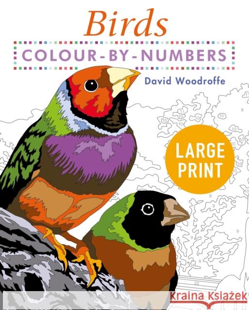 Large Print Colour by Numbers Birds: Easy-to-Read David Woodroffe 9781398808904 Arcturus Publishing Ltd - książka