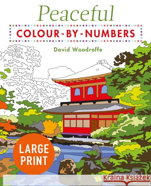 Large Print Peaceful Colour-by-Numbers David Woodroffe 9781398812468 Arcturus Publishing Ltd - książka