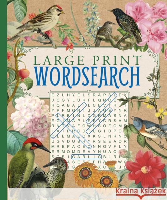 Large Print Wordsearch Eric Saunders 9781789504538 Arcturus - książka