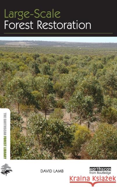 Large-Scale Forest Restoration David Lamb 9780415663182 Routledge - książka