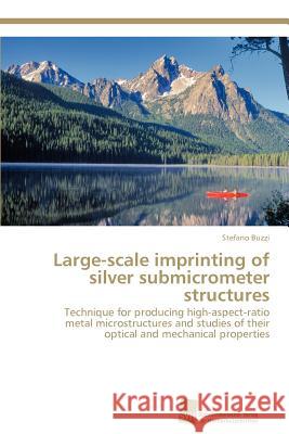 Large-scale imprinting of silver submicrometer structures Buzzi, Stefano 9783838131672 S Dwestdeutscher Verlag F R Hochschulschrifte - książka