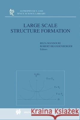 Large Scale Structure Formation Reza Mansouri Robert Brandenberger 9789401058186 Springer - książka