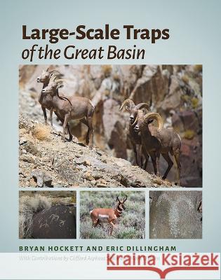 Large-Scale Traps of the Great Basin Bryan Hockett Eric Dillingham Clifford Alpheus Shaw 9781648431081 Texas A&M University Press - książka